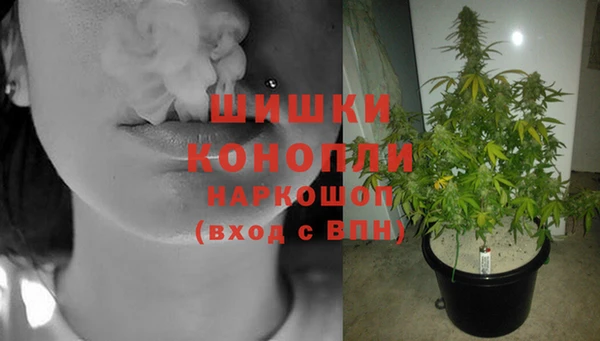 бошки Абаза