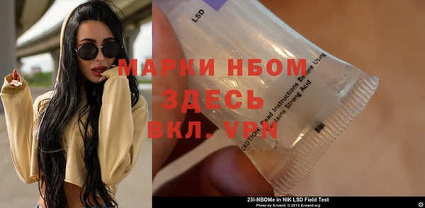 ГАЛЛЮЦИНОГЕННЫЕ ГРИБЫ Новозыбков