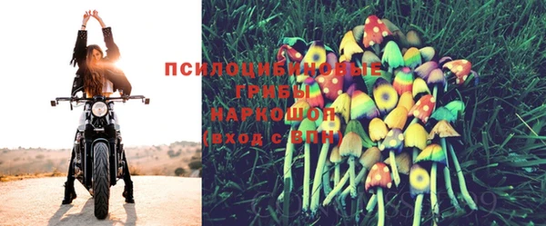каннабис Новокубанск