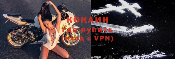 ГАЛЛЮЦИНОГЕННЫЕ ГРИБЫ Новозыбков