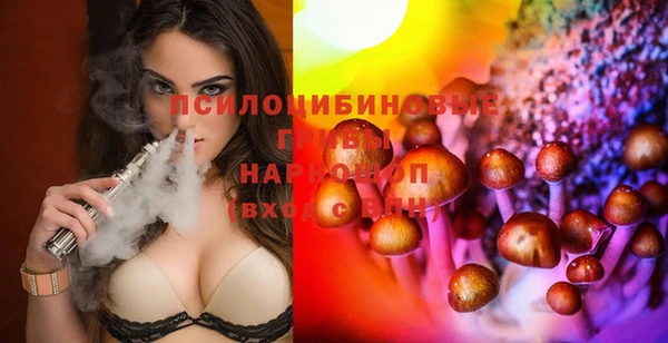 бошки Абаза
