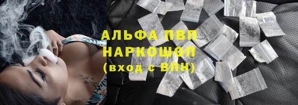 ГАЛЛЮЦИНОГЕННЫЕ ГРИБЫ Новозыбков